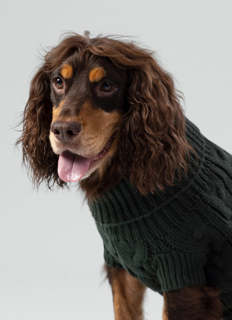 Gebreide trui voor honden - groen