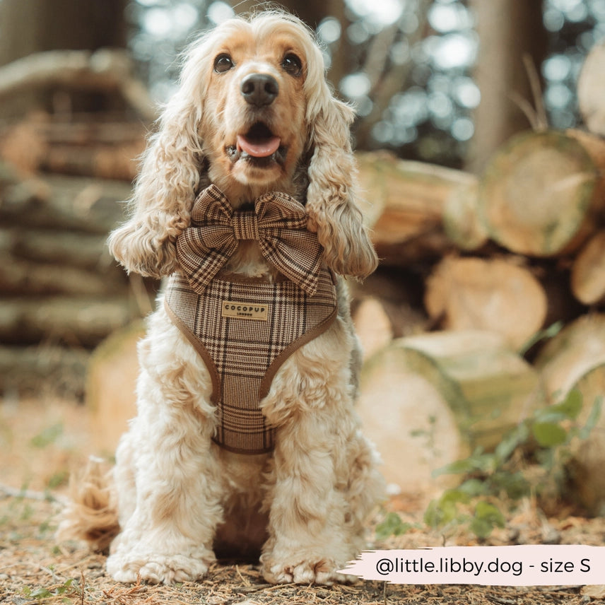 PRE-ORDER Cocopup harnas verstelbaar PUP PLAID