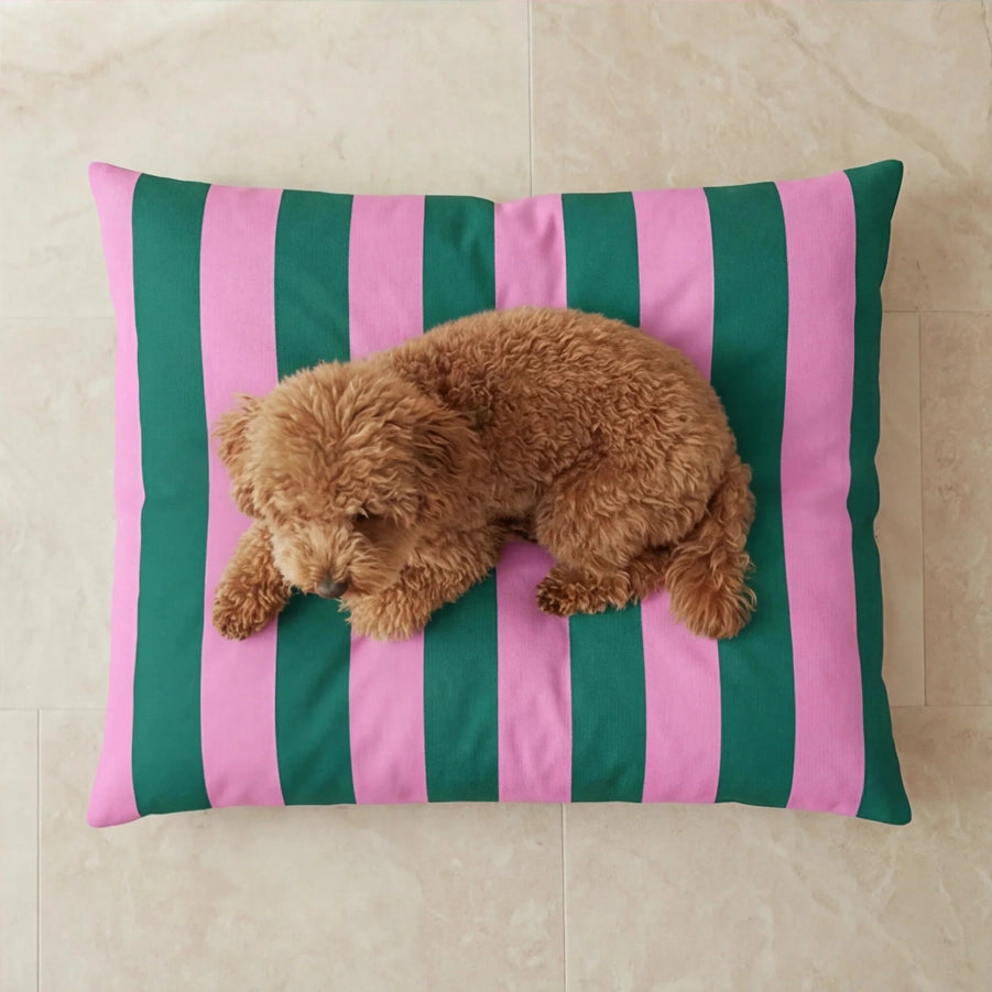 Hondenkussen Stripes Groen-roze