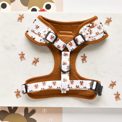 Cocopup harnas verstelbaar Ralphie Rendier