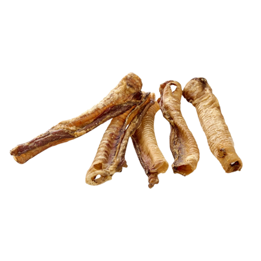 Natürlicher Kausnack – Hirschluftröhre