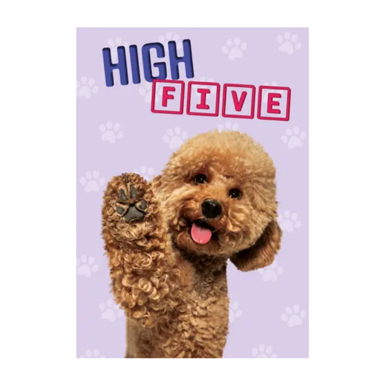 Wenskaart A5 - Hond High Five - Nora-Lou
