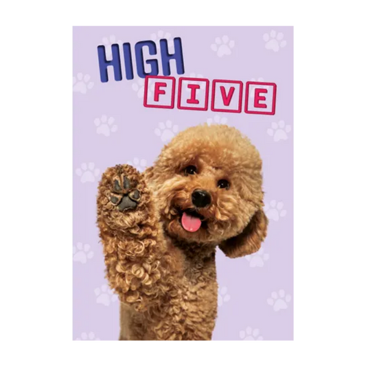 Wenskaart A5 - Hond High Five - Nora-Lou