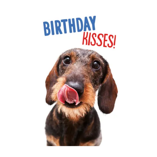 Wenskaart A5 - Hond Birthday Kisses - Nora-Lou