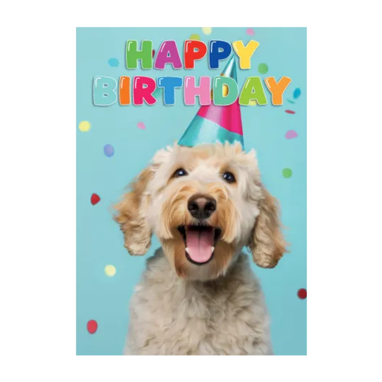 Wenskaart A5 - Hond Birthday Confetti - Nora-Lou