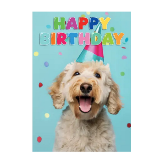 Wenskaart A5 - Hond Birthday Confetti - Nora-Lou
