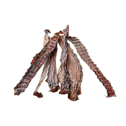 Natürlicher Kausnack – Straußenhals