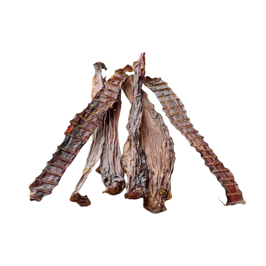 Natürlicher Kausnack – Straußenhals