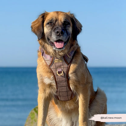 Cocopup harnas verstelbaar EXPLORE PUP PLAID