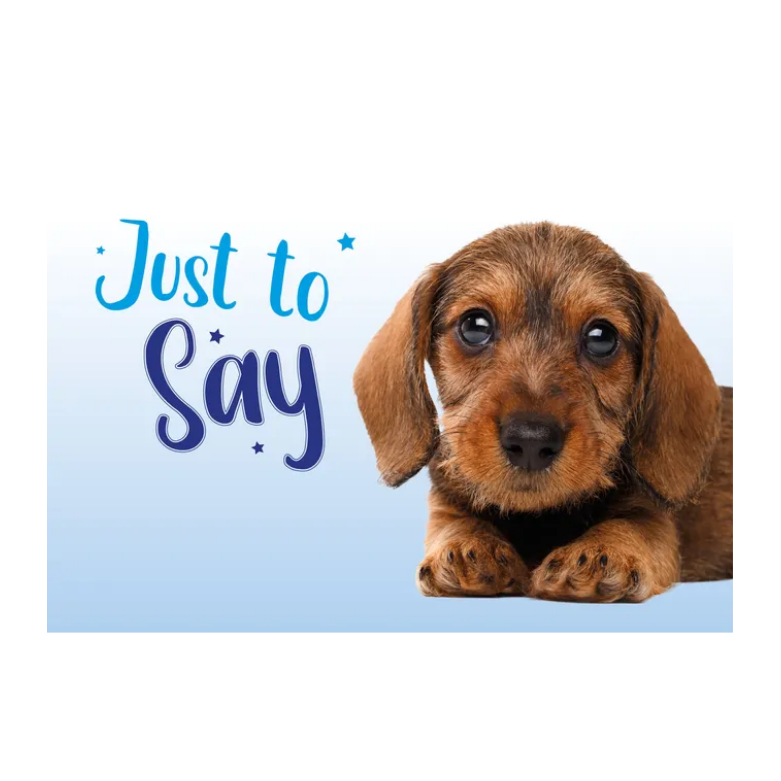 Wenskaart A5 - Hond Just to Say - Nora-Lou