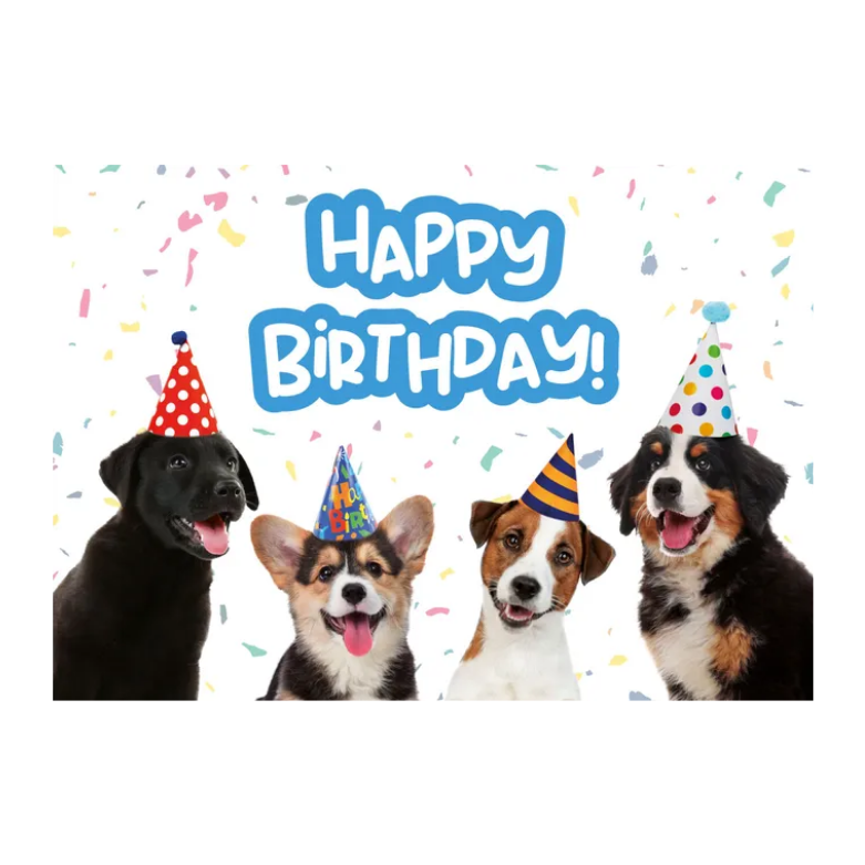Wenskaart A5 - Hond Birthday Puppies - Nora-Lou