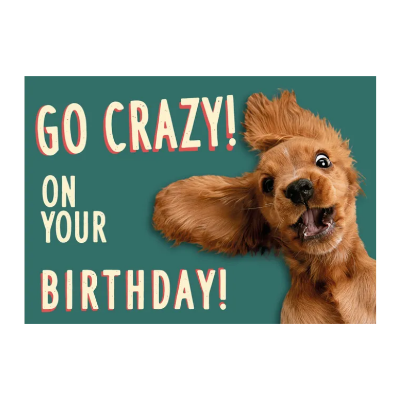 Wenskaart A5 - Hond Crazy dog - Nora-Lou