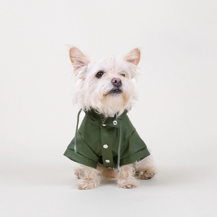Regenjas hond Groen