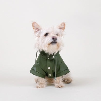 Regenjas hond Groen