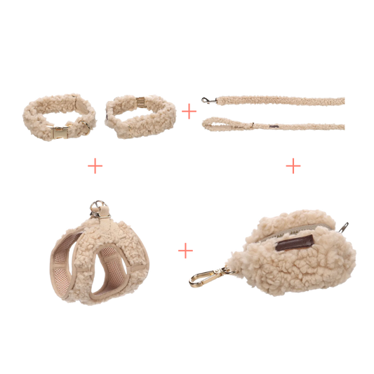 Set: Teddy