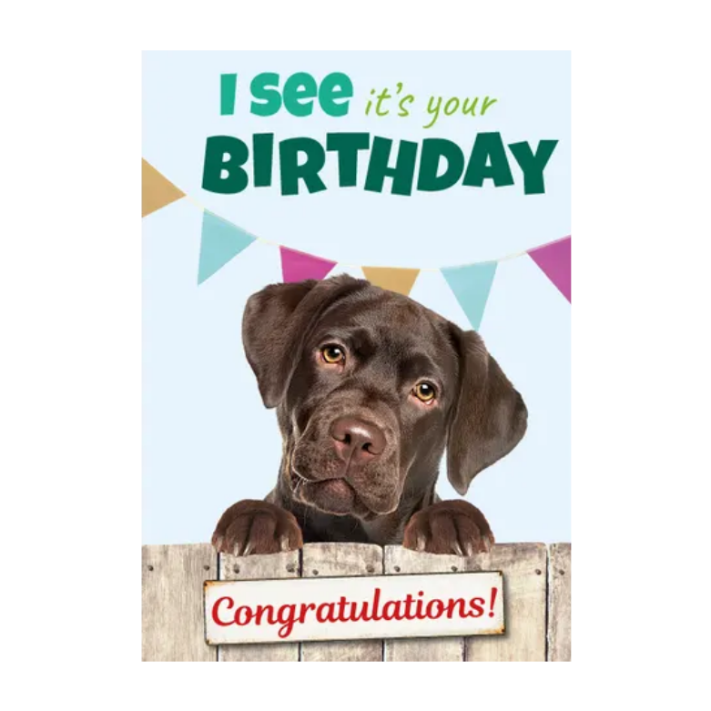 Wenskaart A5 - Hond/ Labrador - Nora-Lou