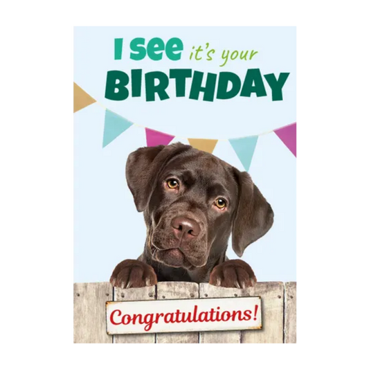 Wenskaart A5 - Hond/ Labrador - Nora-Lou