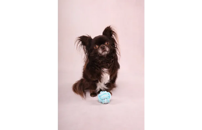 Speelgoed Small Dog Cub Knoopbal Ivar Turkoois - Nora-Lou