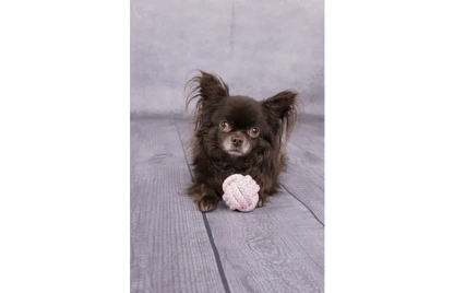 Speelgoed Small Dog Cub Knoopbal Ivar Roze - Nora-Lou