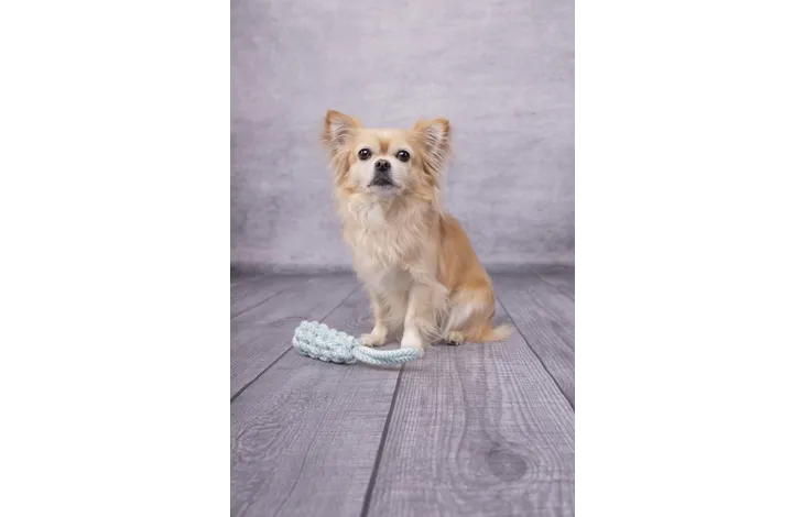 Speelgoed Small Dog Cub Trektouw & Staaf Geweven Ivar Turquoise - Nora-Lou