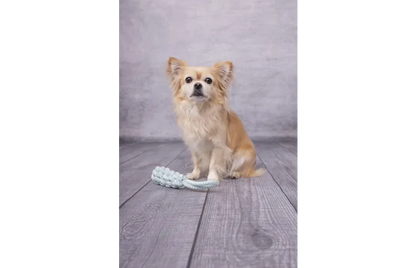 Speelgoed Small Dog Cub Trektouw & Staaf Geweven Ivar Turquoise - Nora-Lou