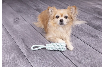 Speelgoed Small Dog Cub Trektouw & Staaf Geweven Ivar Turquoise - Nora-Lou