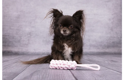 Speelgoed Small Dog Cub Trektouw & Staaf Geweven Ivar Roze - Nora-Lou