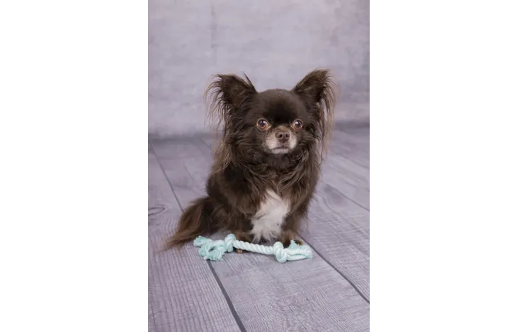 Speelgoed Small Dog Cub Touw Izra met 2 knopen turquoise - Nora-Lou