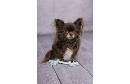 Speelgoed Small Dog Cub Touw Izra met 2 knopen turquoise - Nora-Lou