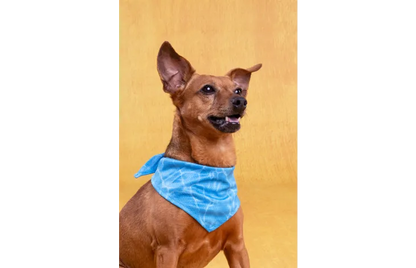 Koelbandana Fresk Inou Blauw