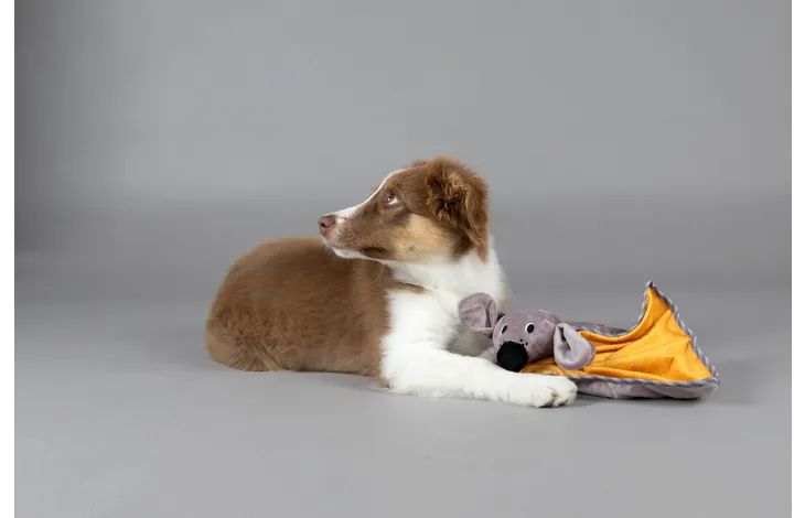 Speelgoed Puppy Livo Knuffeldoek & Hond Oker