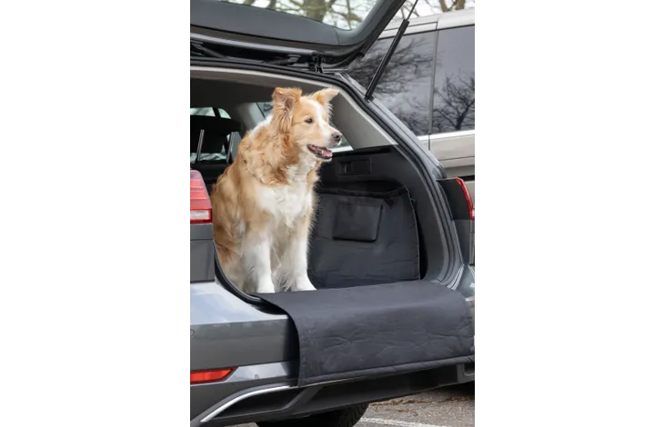 Beschermdeken voor auto Aiko Kuipmodel Koffer Zwart - Nora-Lou