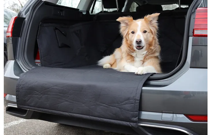 Beschermdeken voor auto Aiko Kuipmodel Koffer Zwart - Nora-Lou