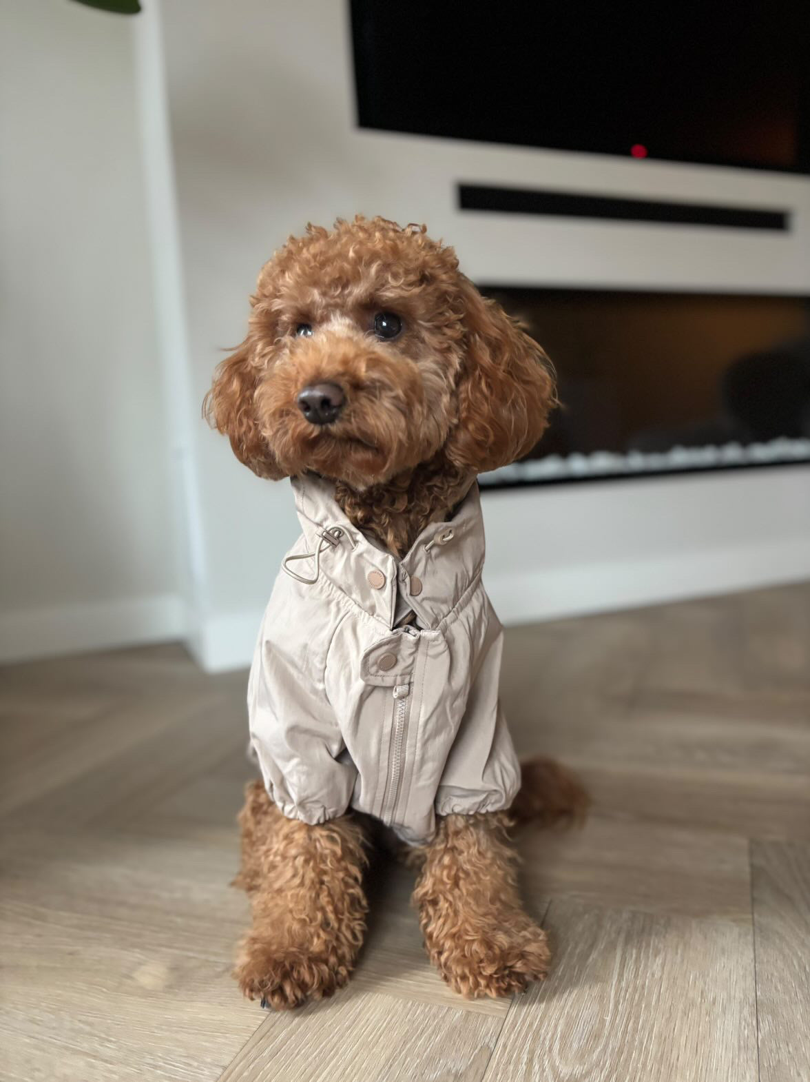 Brooklyn Regenjas Beige