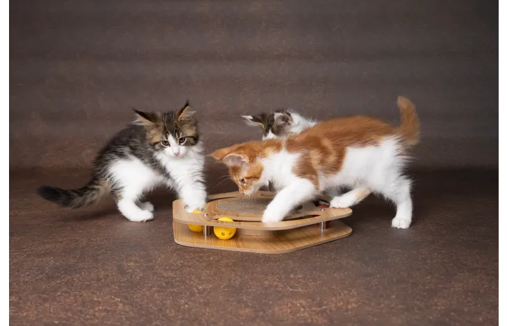 Krabspeelgoed Densi Zeshoek Bruin