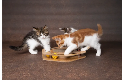 Krabspeelgoed Densi Zeshoek Bruin