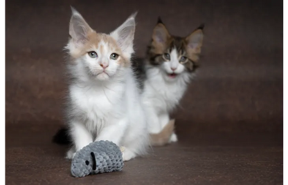 Speelgoed Mozza Muis Meerkleurig