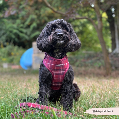Cocopup harnas verstelbaar Mulberry Plaid