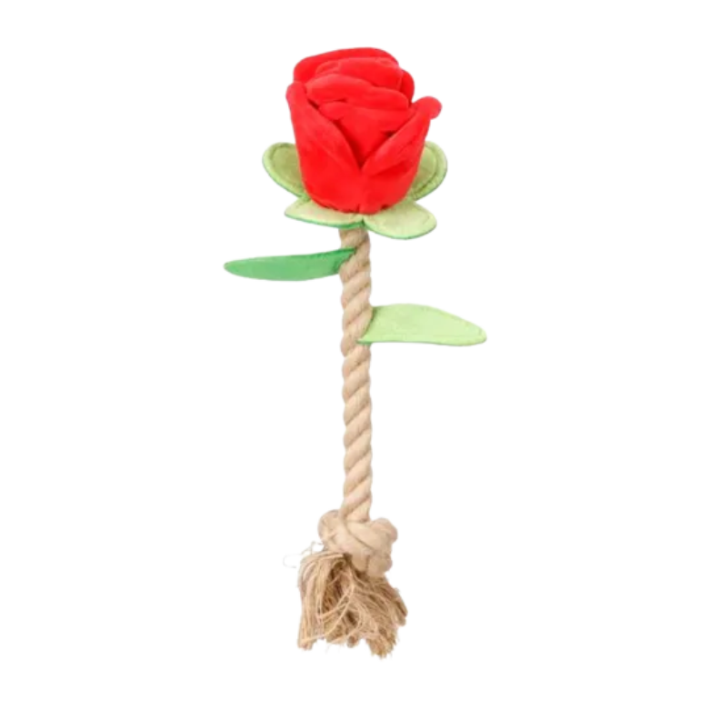 Speelgoed Rozie Roos met touw Rood