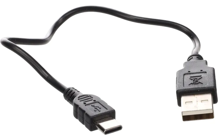 Halsband Lichtgevend Zwart & Geel