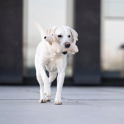 Hondenspeelgoed Teckel Pepe