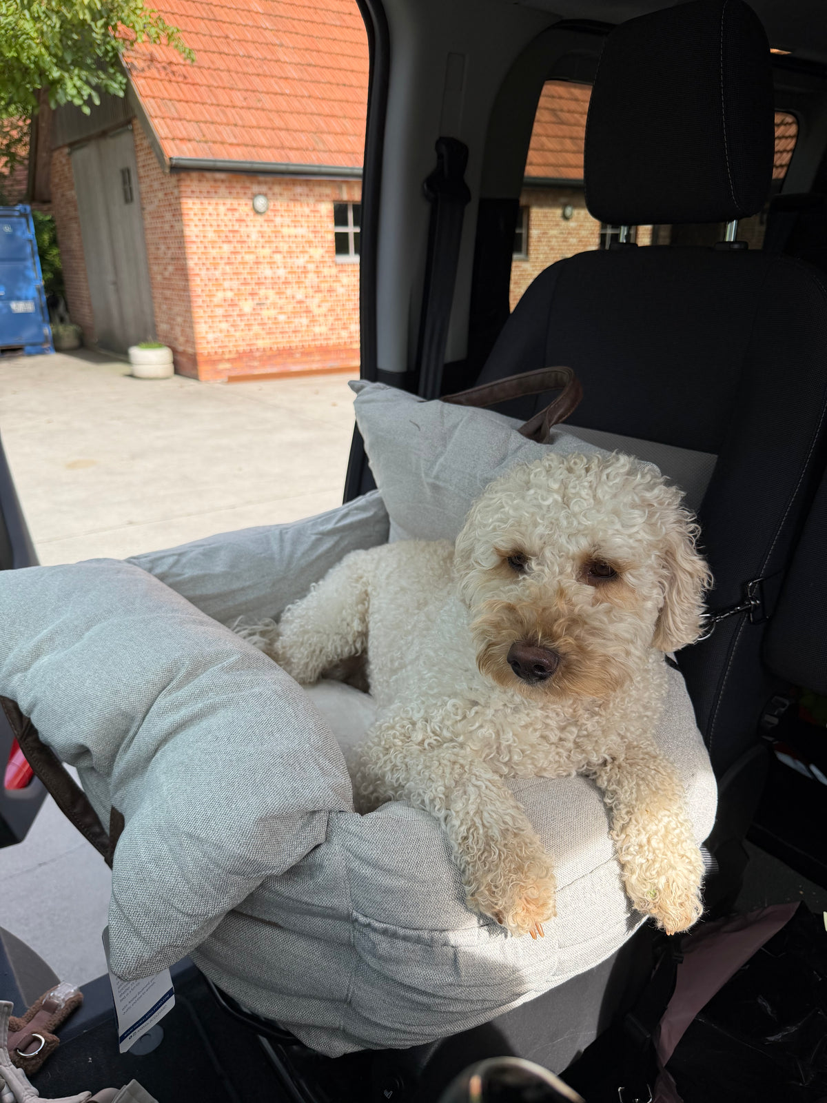 AB HOME&AWAY Autostoel/automand Carrie Beige - Nora-Lou