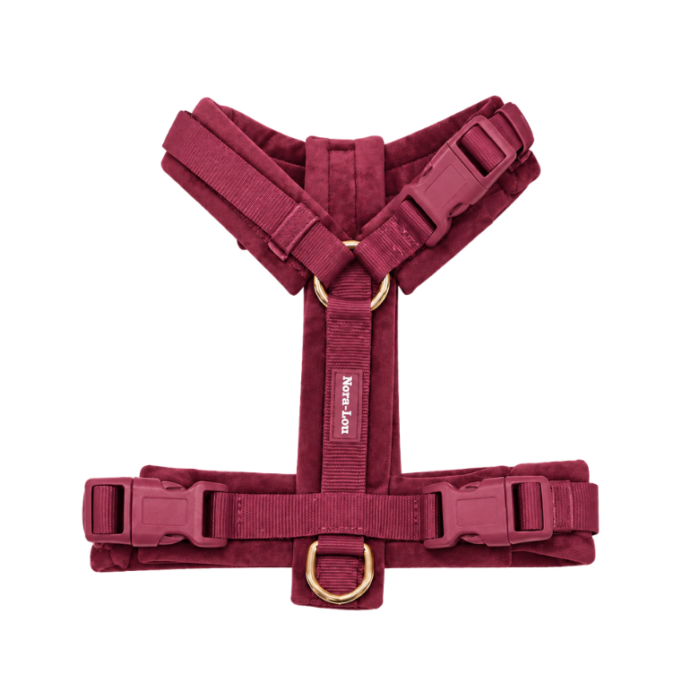 Nora-Lou Y-vormig Harnas Cherry Velvet - Bordeaux - Nora-Lou