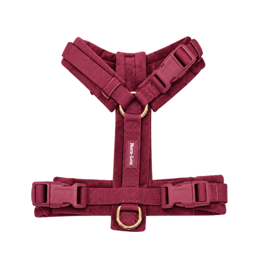 Nora-Lou Y-vormig Harnas Cherry Velvet - Bordeaux - Nora-Lou