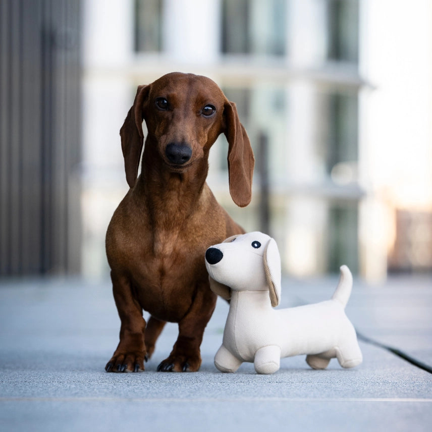 Hondenspeelgoed Teckel Pepe
