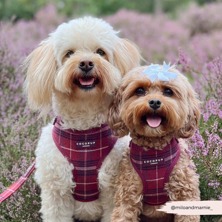 Cocopup harnas verstelbaar Mulberry Plaid