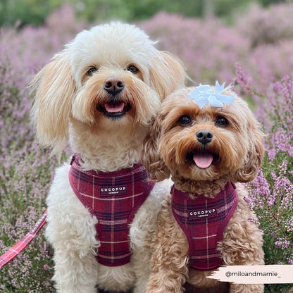 Cocopup harnas verstelbaar Mulberry Plaid