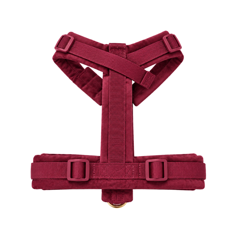 Nora-Lou Y-vormig Harnas Cherry Velvet - Bordeaux - Nora-Lou