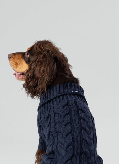 Gebreide trui voor honden - blauw