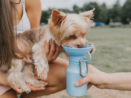 Hondendrinkfles voor onderweg Mini 0,44 L (meerdere kleuren) - Nora-Lou